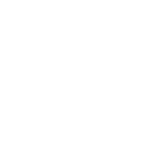 Ring Studio